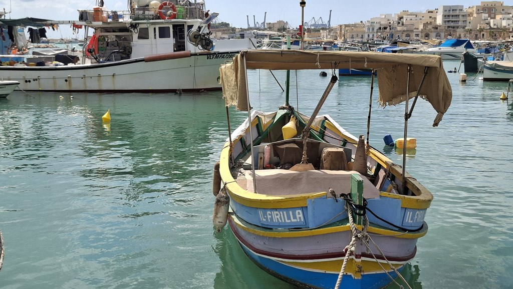 20250918 120506 (Copy)